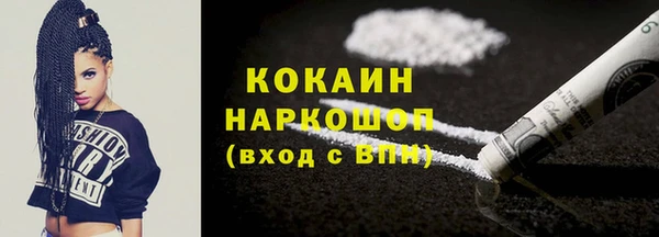 гидра Кинешма