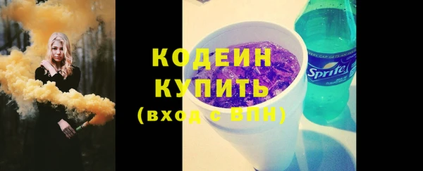 гашик Козельск