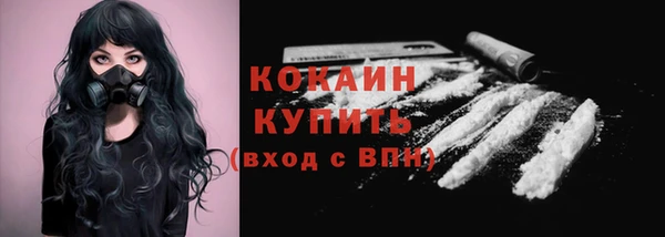 гашик Козельск