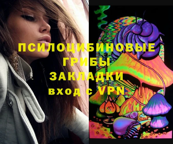 гидра Кинешма