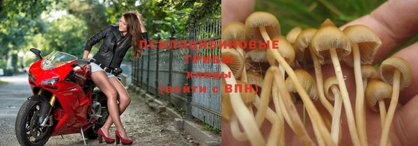 индика Карталы