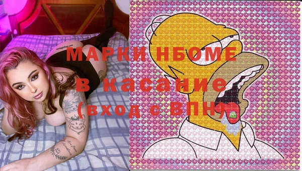 гидра Кинешма
