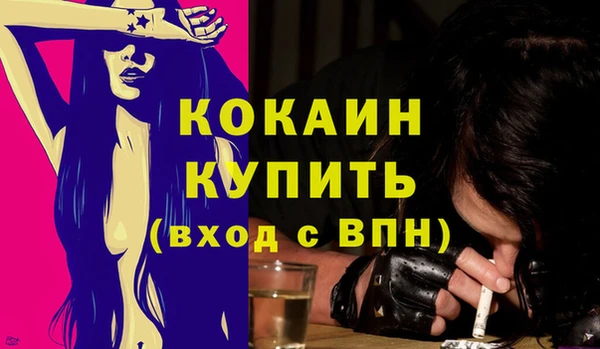 индика Карталы